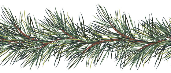 Seamless horizontal border with pine tree branches. Watercolor illustration isolated on white background.