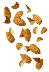 almond nut food healthy organic natural ingredient snack isolated seed brown fruit closeup nutrition group