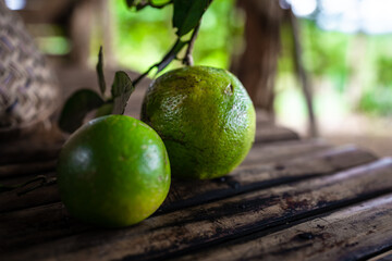 Green citrus freshly picked from the tree