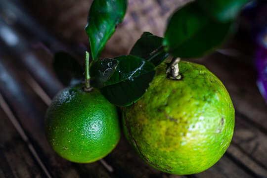 Green citrus freshly picked from the tree