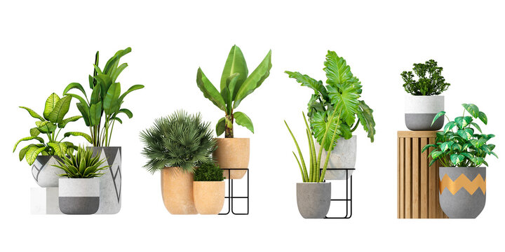 Set of plants isolated	
