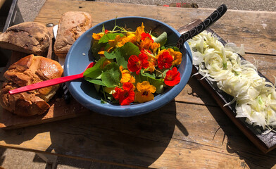 Ensalada de flores de campo agroecologica, comida fresca y saludable - Agroecological field flower salad, fresh and healthy food