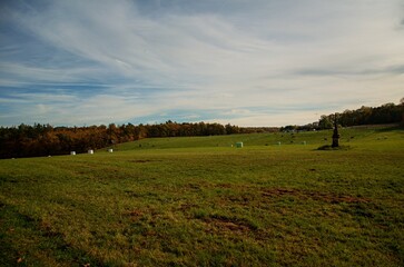 sunset over the field