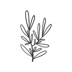 Hand drawn foliage branch vector, twig and leaves, flora