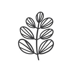 Hand drawn foliage branch vector, twig and leaves, flora - 559506650