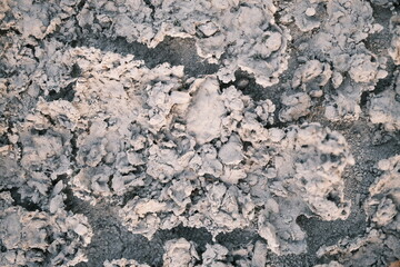 concrete wall texture