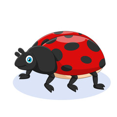 Cute ladybug cartoon Vector illustration. Cute animal cartoon
