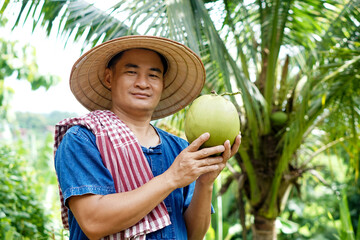Happy Asian man gardener holds organic coconut fruit at his garden . Concept : Agriculture crop in Thailand. Thai farmers grow coconuts " Ma-Prow-Nam-Hom" to sell . Summer fruits.   