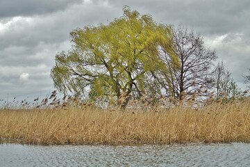 Am Wasser