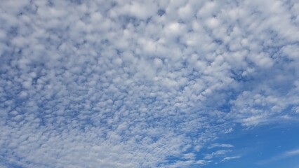 Fototapeta na wymiar Blue sky and white clouds. Background. Texture. Copy space