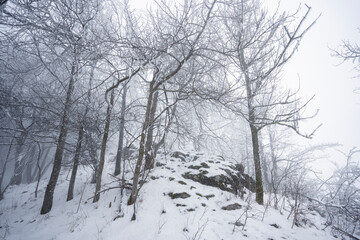 Winterlandschaft in der Rhön- Wanderung zum Steinkopf(888m) 18