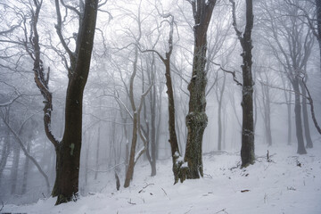 Winterlandschaft in der Rhön- Wanderung zum Steinkopf(888m) 22