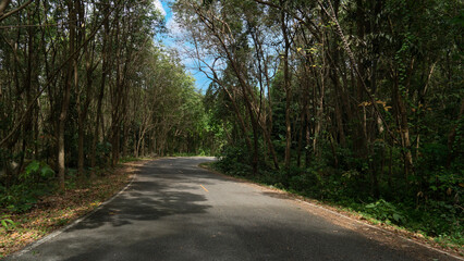 Curvy road of empty asphalt road with yellow traffic line. Two beside of road with green forest under the sky.