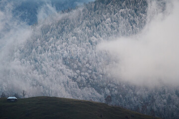 Foggy Landscape on winter days