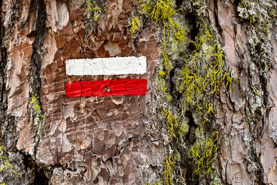 Signalisation rouge et blanche sur un sentier de grande randonn&eacute;e (GR)