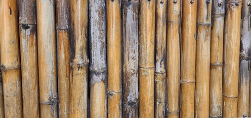bamboo fence background Line up the bamboo plants and tie them together with ropes or nails to make...