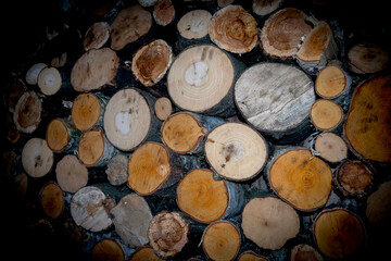 Wooden shed with hopped wood