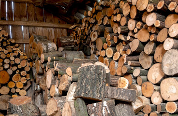 Wooden shed with hopped wood