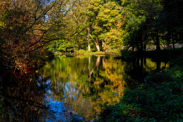 Fototapeta na wymiar Autumn Colours and a lake in the Loose valley in Maidstone, Kent