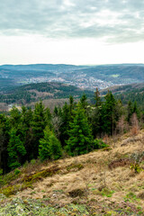 Fototapeta premium Wanderung zum Ruppberg im Thüringer Wald bei Zella-Mehlis - Deutschland