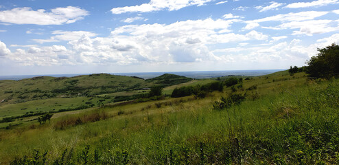 A sunny spring day in the nature, a green meadow landscape