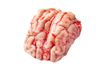 raw brain pork offal fresh meat meal food snack on the table copy space food background rustic top view