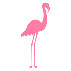 pink flamingo isolated on white