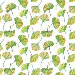 Seamless pattern ginkgo biloba green and yellow leaves, print botany foliage. Watercolor branches. Leaves clip art.