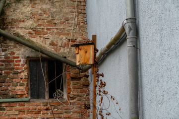 Stadtportrait der Bayrischen Stadt Dingolfing - Ein Vogelhaus