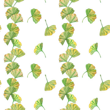 Seamless pattern ginkgo biloba green and yellow leaves, print botany foliage. Watercolor branches. Leaves clip art.