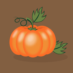 Orange Pumkin Vector 