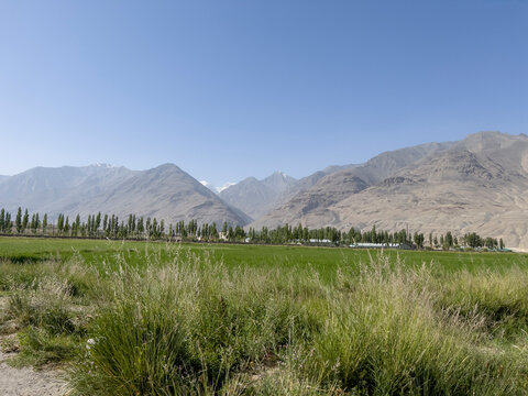 Badakhshan Bilder Durchsuchen 4,421 Archivfotos, und