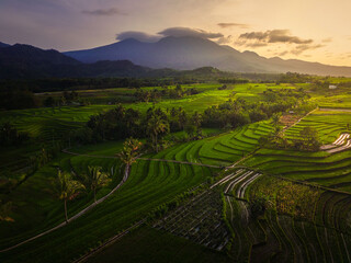 Fototapeta na wymiar Aerial view of asia in indonesian rice fields with mountains at sunrise