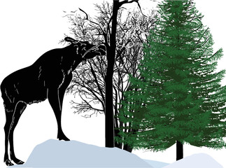 large moose silhouettes near trees