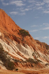 Fototapeta premium grand canyon national park