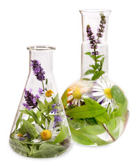 Erlenmeyer flasks with medicinal herbs, transparent background
