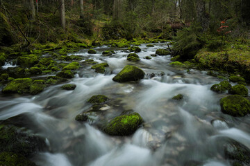 Schwarzwasserbach im Kleinwalsertal bei der Ortschaft Riezlern.