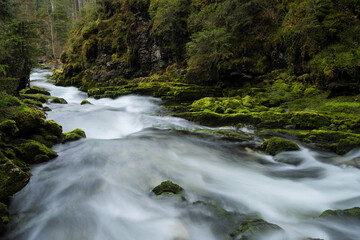 Schwarzwasserbach im Kleinwalsertal bei der Ortschaft Riezlern.