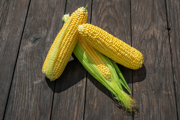Fresh corn on cobs on rustic wooden table, closeup. Top view with copy space