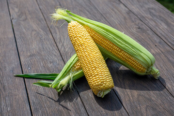 Fresh corn on cobs on rustic wooden table, closeup. Top view with copy space