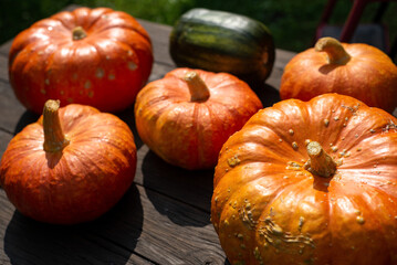 Close up view of cut pumpkin on wooden surface and nature background. Copy space