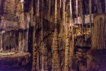 Netherlands, Arnhem, Burger Zoo, stalagtite and stalagmites