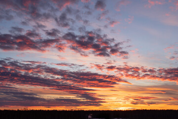 Sunset sky. Yellow sky with purple clouds