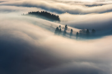 Beautiful landscape, amazing flowing morning fog  on mountain slopes in Transylvania, Romania. - obrazy, fototapety, plakaty