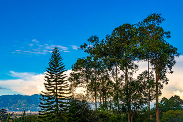 Beautiful mountain landscape city panorama forest trees nature Costa Rica.