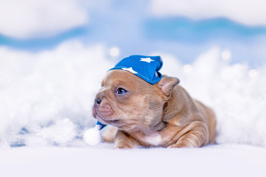 French Bulldog puppy with nightcap between fluffy clouds and stars