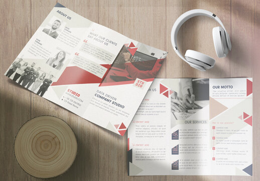 Trifold Brochure Data Analysis Layout