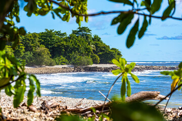 paradise beach with palm trees over the pacific in costa rica  hidden beach with turquoise water and green hills in the background © Lens Down Under