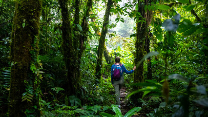 backpacker girl walks through dense jungle in monteverde cloud forest, Costa Rica; walk through...