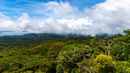 aerial photo of monteverde national park in costa rica, famous cloud forest with unique vegetation, tropical rainforest in the mountains